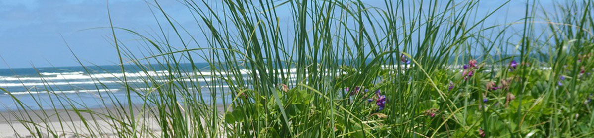 Joy Kassett, Ph.D. - Child, Adolescent, Adult Psychologist/Psychoanalyst